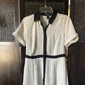 Ann Taylor Polka Dot Dress